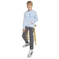 ADIDASb fleece hoodie