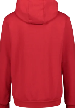 ADIDASent22 hoody jr