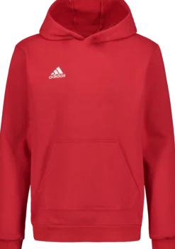ADIDASent22 hoody jr