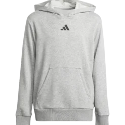 ADIDASj smi hoodie