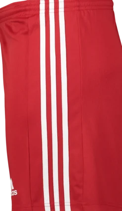 ADIDASsquad 21 short