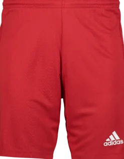 ADIDASsquad 21 short