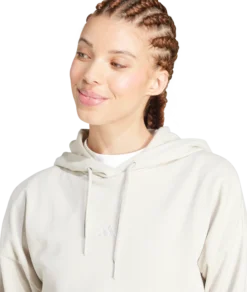 ADIDASw small logo ft hoodie