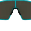 BLIZp001