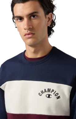 CHAMPIONsweatshirt icons crewneck m