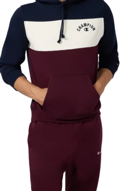 CHAMPIONsweatshirt icons hood m