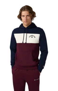CHAMPIONsweatshirt icons hood m