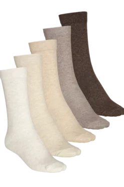 FRANK DANDYso 5p colorama u