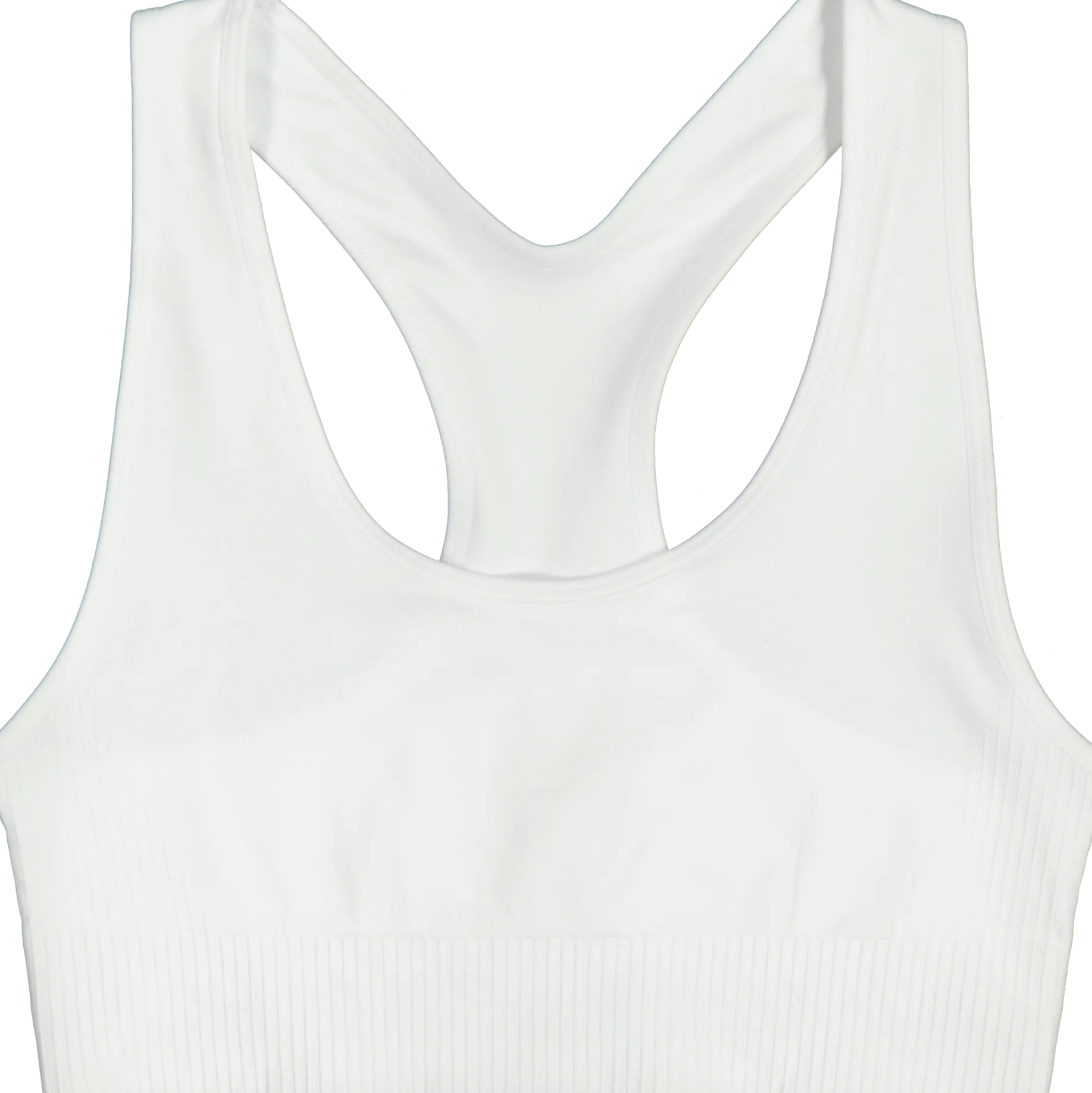 GRATITUDEseamless bra w