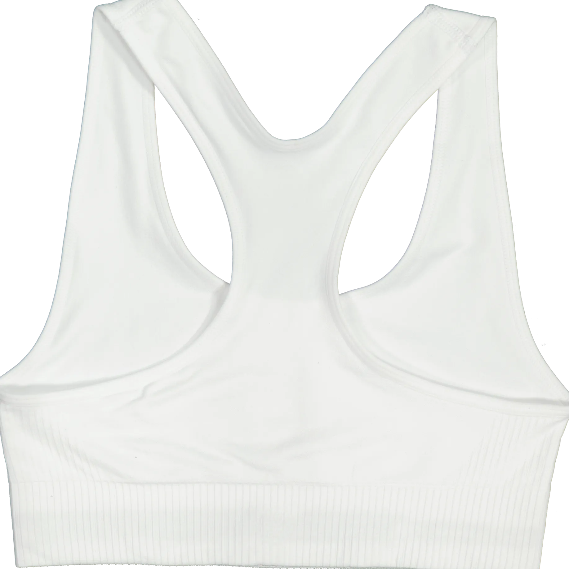 GRATITUDEseamless bra w