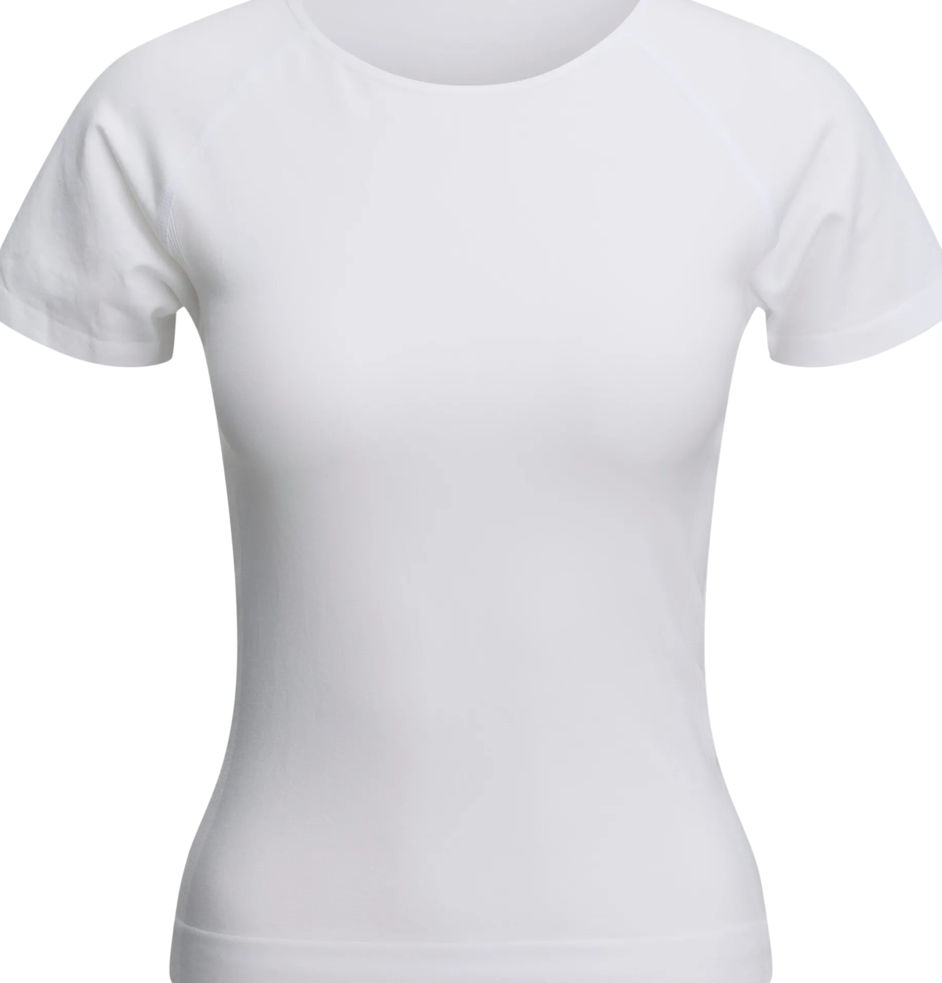 GRATITUDEseamless tee w
