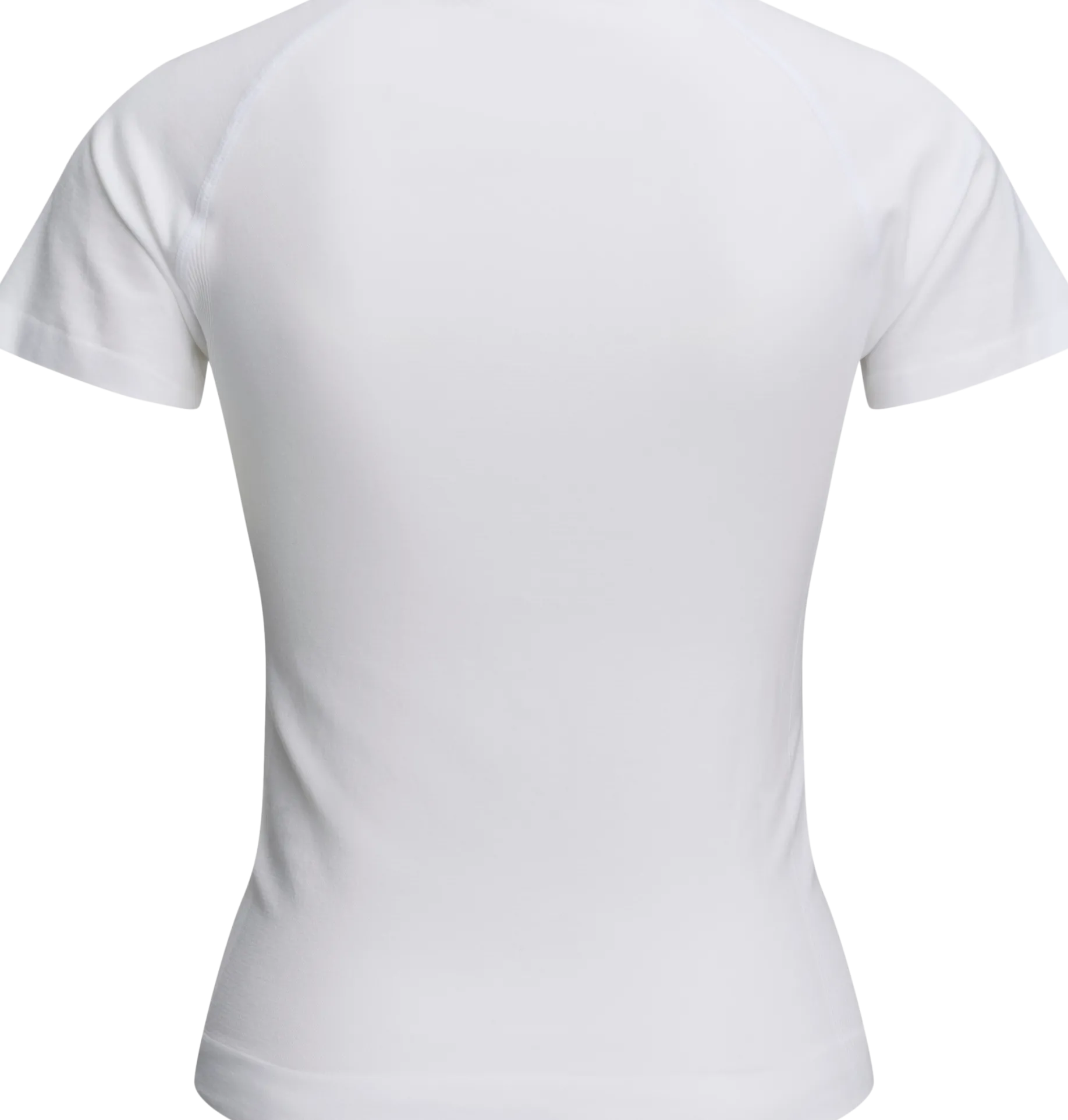 GRATITUDEseamless tee w