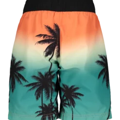 HANGTENboard shorts jr
