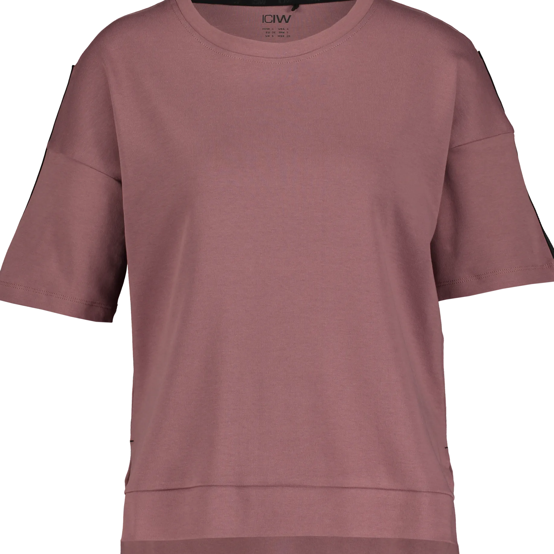 ICANIWILLstance t-shirt wmn