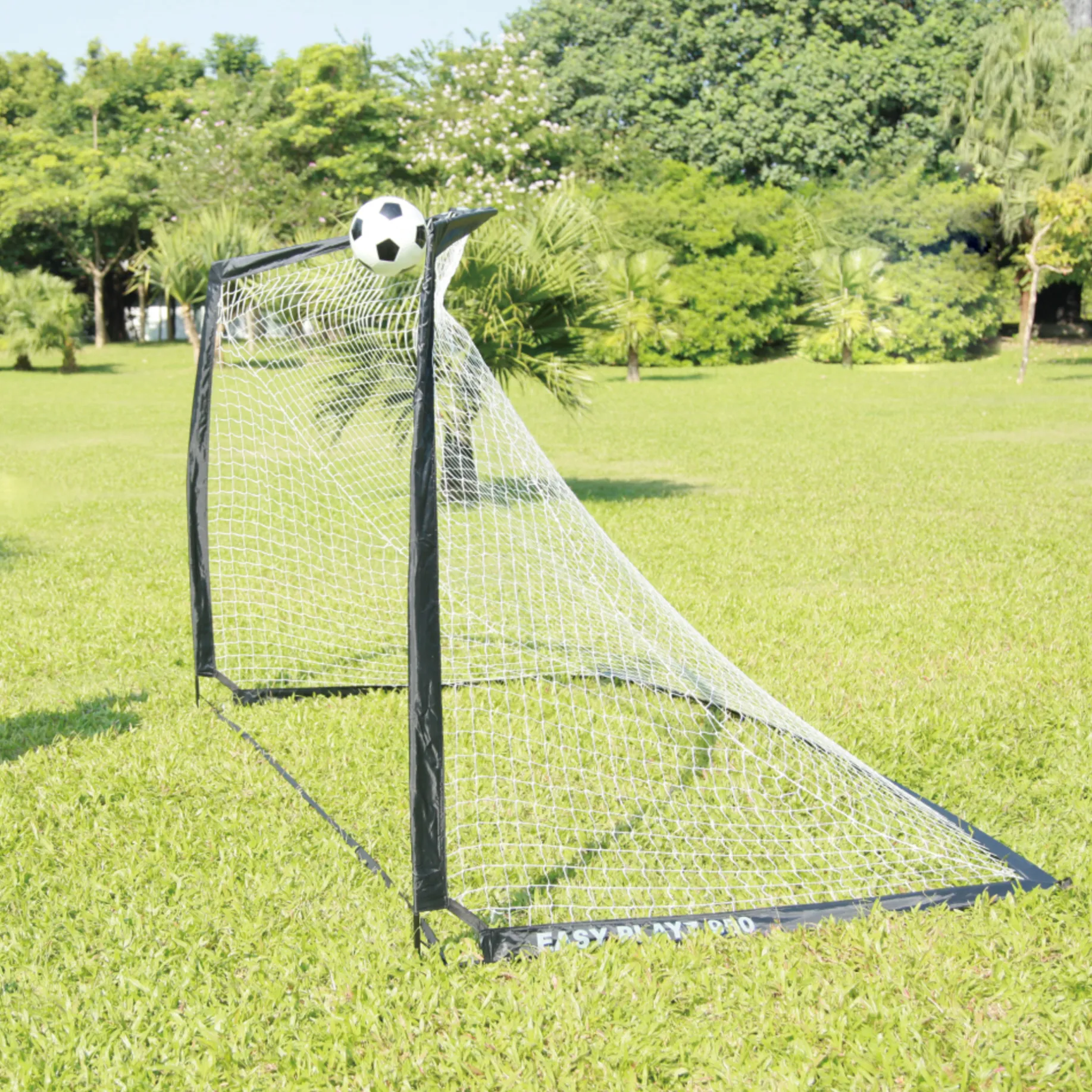 NETPLAYZsoccer simple playz medium