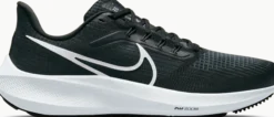 NIKEnike pegasus 39 men's road running