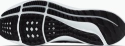 NIKEnike pegasus 39 men's road running