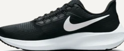 NIKEnike pegasus 39 men's road running