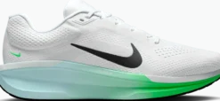 NIKEnike winflo 11 men's road running s
