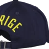 REVOLUTIONu supporter cap