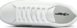 SNEAKERS POINTclassic snk m